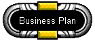 Business Plan