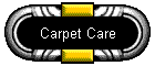 Carpet Care